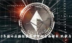 2023年国内区块链最终项目的全面解析：现状与未